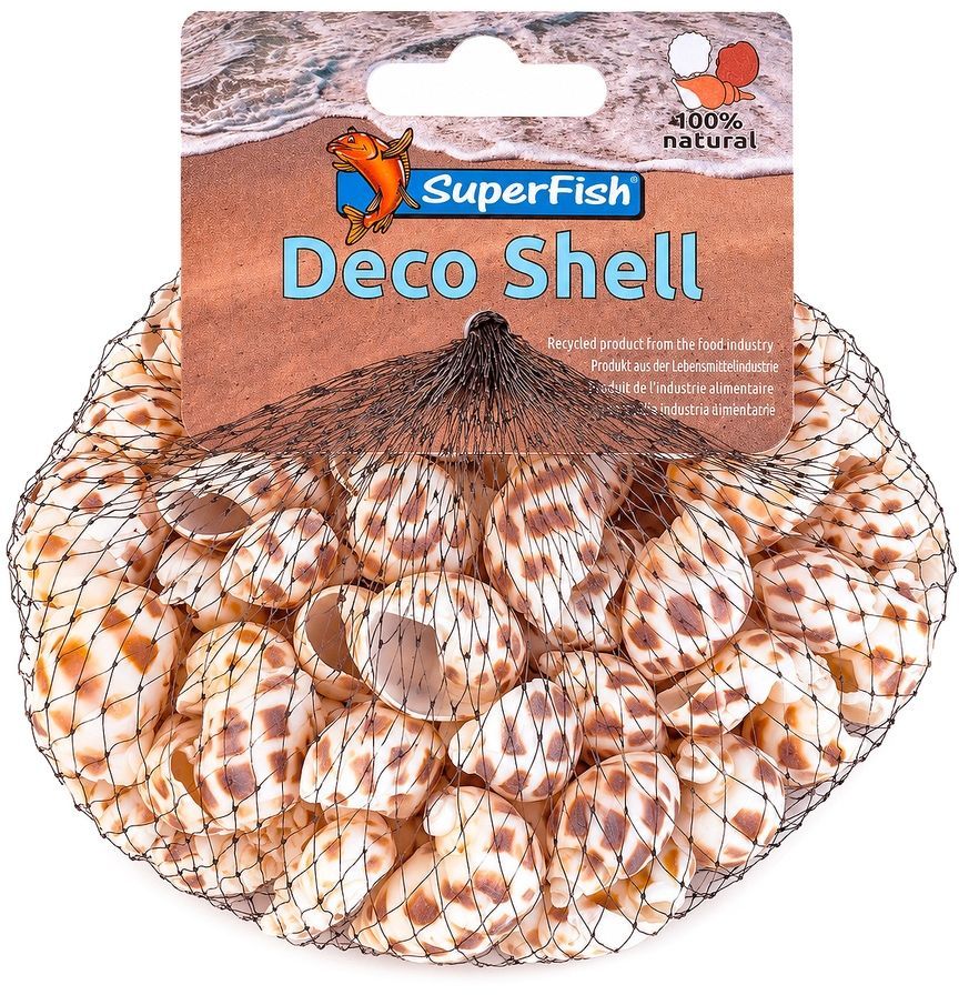 Мушлі вавілоній SuperFish Deco Shell