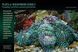 Журнал CORAL №3 2026 Collecting The Unthinkable