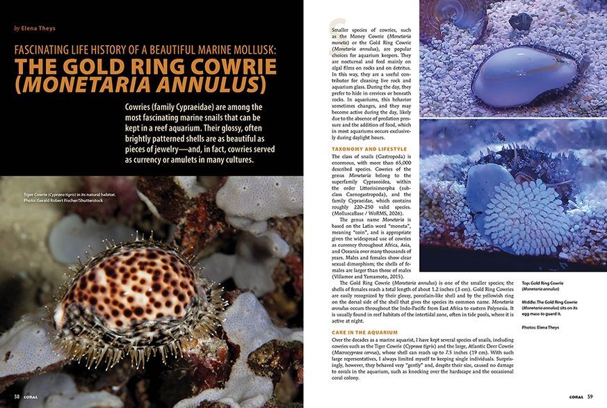 Журнал CORAL №3 2026 Collecting The Unthinkable