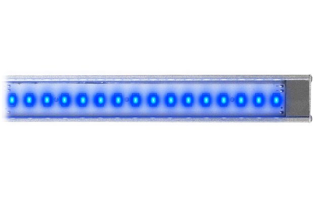 Reef Brite LumiLite LED Actinic Blue, 12 Вт / 30 см