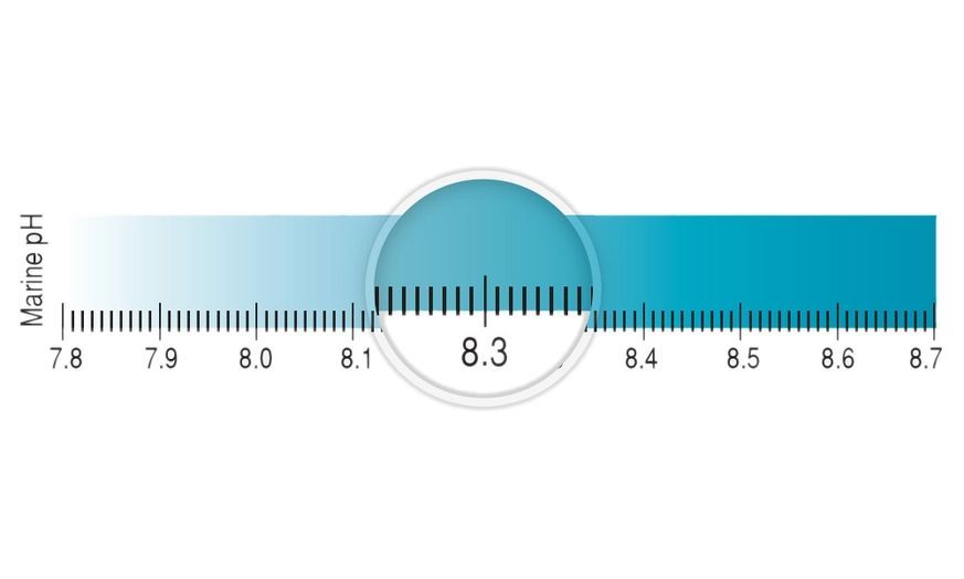 Тест на рН и KH Seachem Multitest Marine pH & Alkalinity