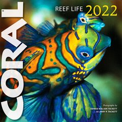Календарь настенный CORAL Reef Life 2022