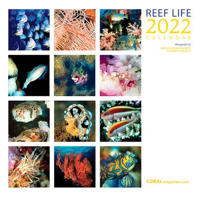 Календар настінний CORAL Reef Life 2022