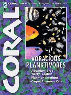 Журнал CORAL №4 2026 Voracious Planktivores