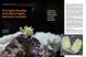 Журнал CORAL №4 2026 Voracious Planktivores