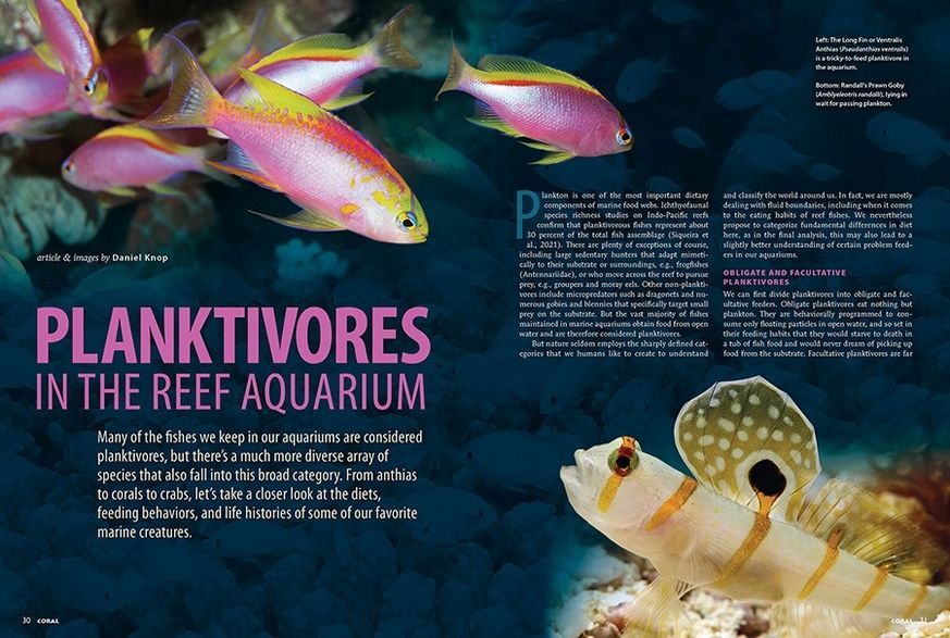 Журнал CORAL №4 2026 Voracious Planktivores
