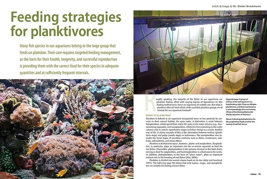 Журнал CORAL №4 2026 Voracious Planktivores