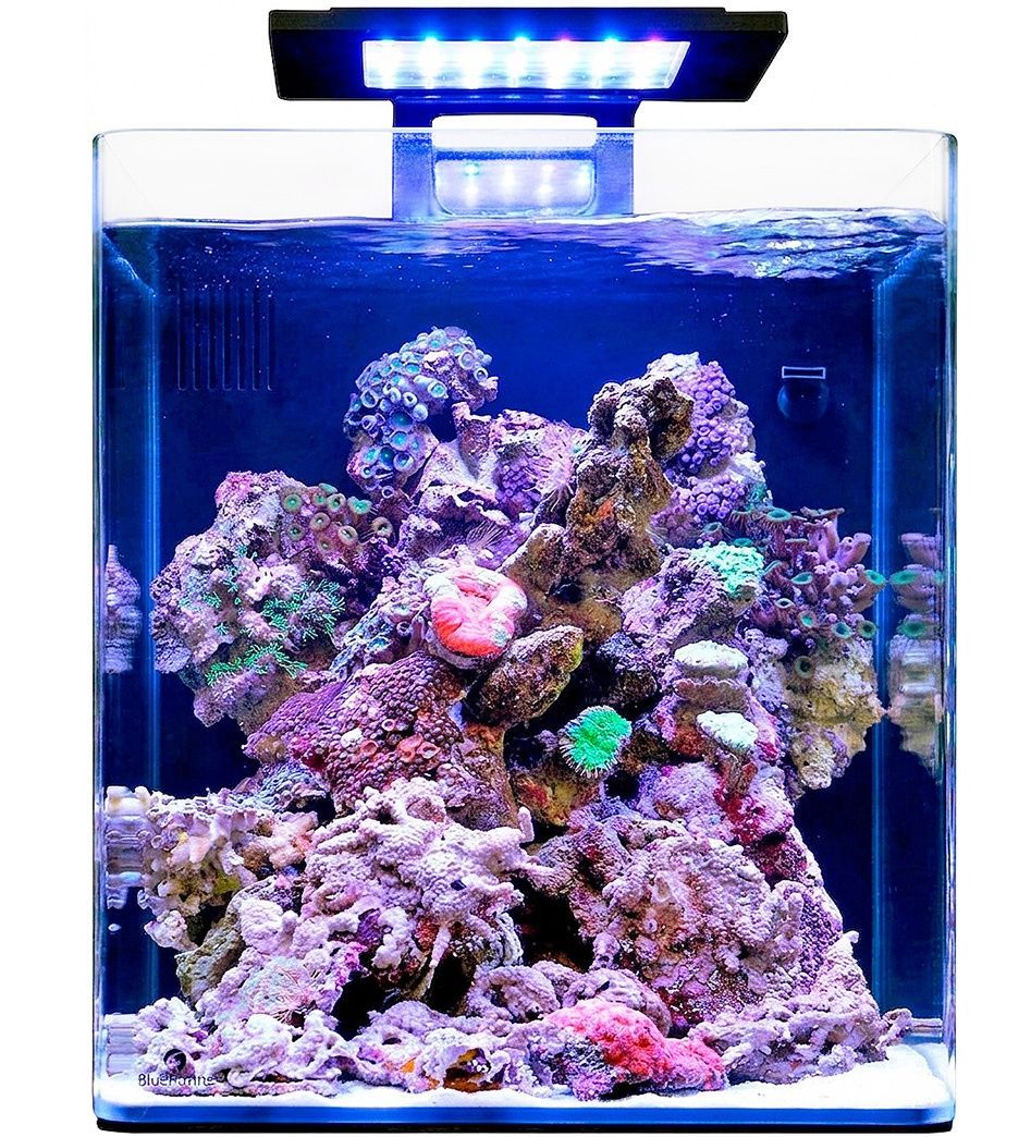 reef Морська система Blue Marine Reef 60 - Reefkeeper – Все для