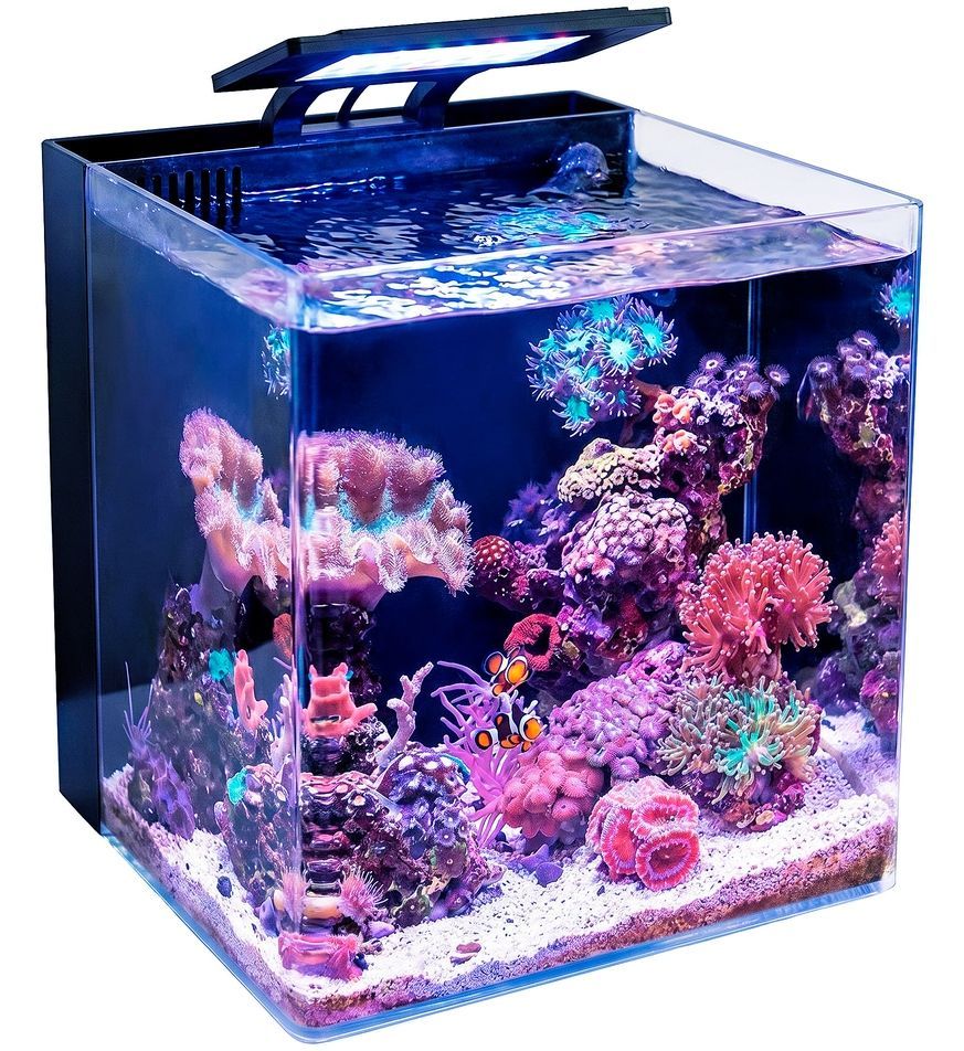 Морська система Blue Marine Reef 90