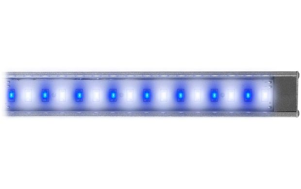 Reef Brite LumiLite LED 50/50 White/Blue, 12 Вт / 30 см