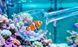 Чаша для вилову SuperFish Catch Bowl